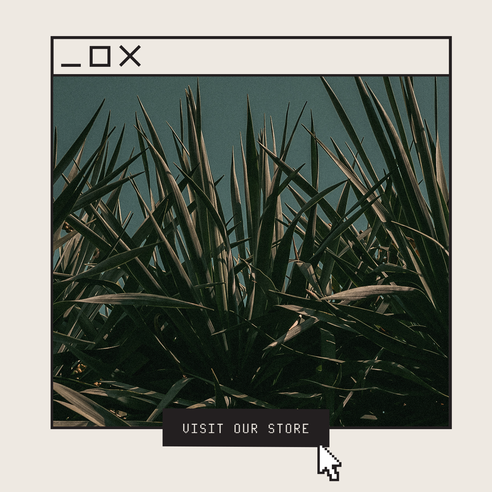 🌿 Profumi per l’Inizio dell’Estate: 6 Fragranze Fresche da Indossare al Sole