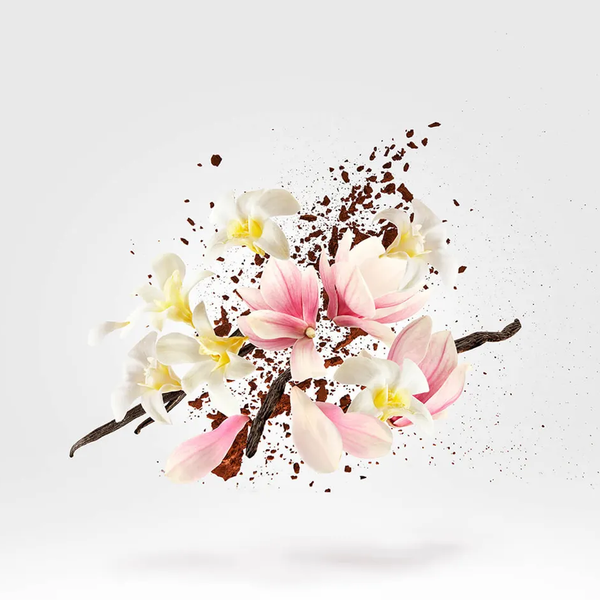 Xerjoff Allende Extrait de Parfum