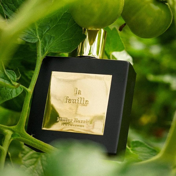 Miller Harris LA FEUILLE EDP