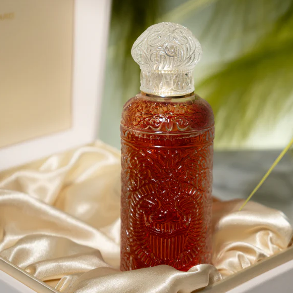 Alexandre J Black Beetle