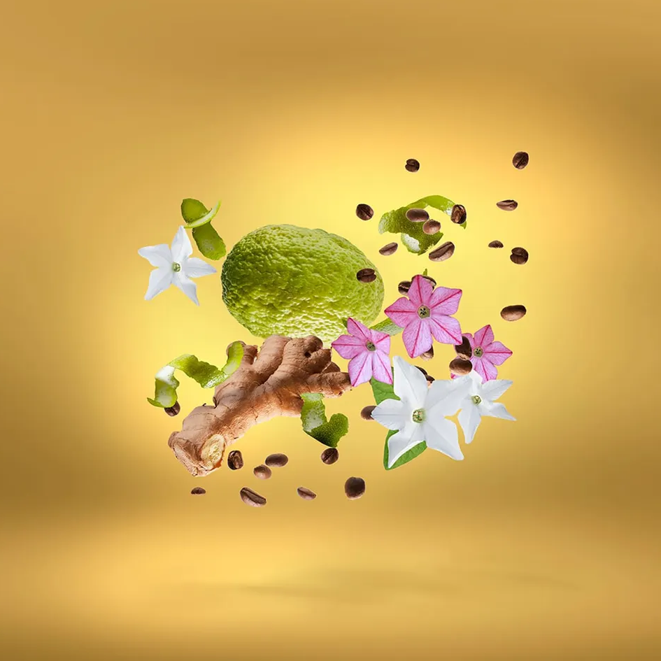 Xerjoff Uden Overdose Parfum