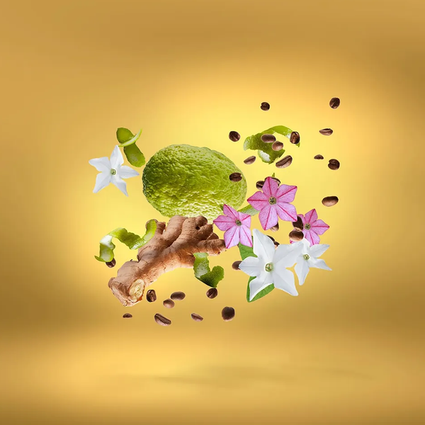 Xerjoff Uden Overdose Parfum