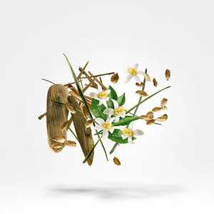 Nio Extrait de Parfum