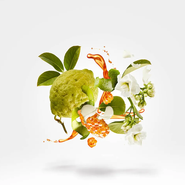 Xerjoff Naxos Parfum