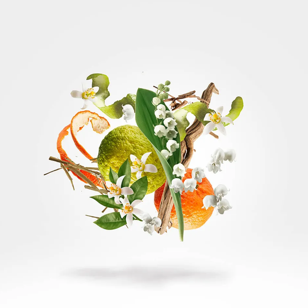 Xerjoff Renaissance Parfum