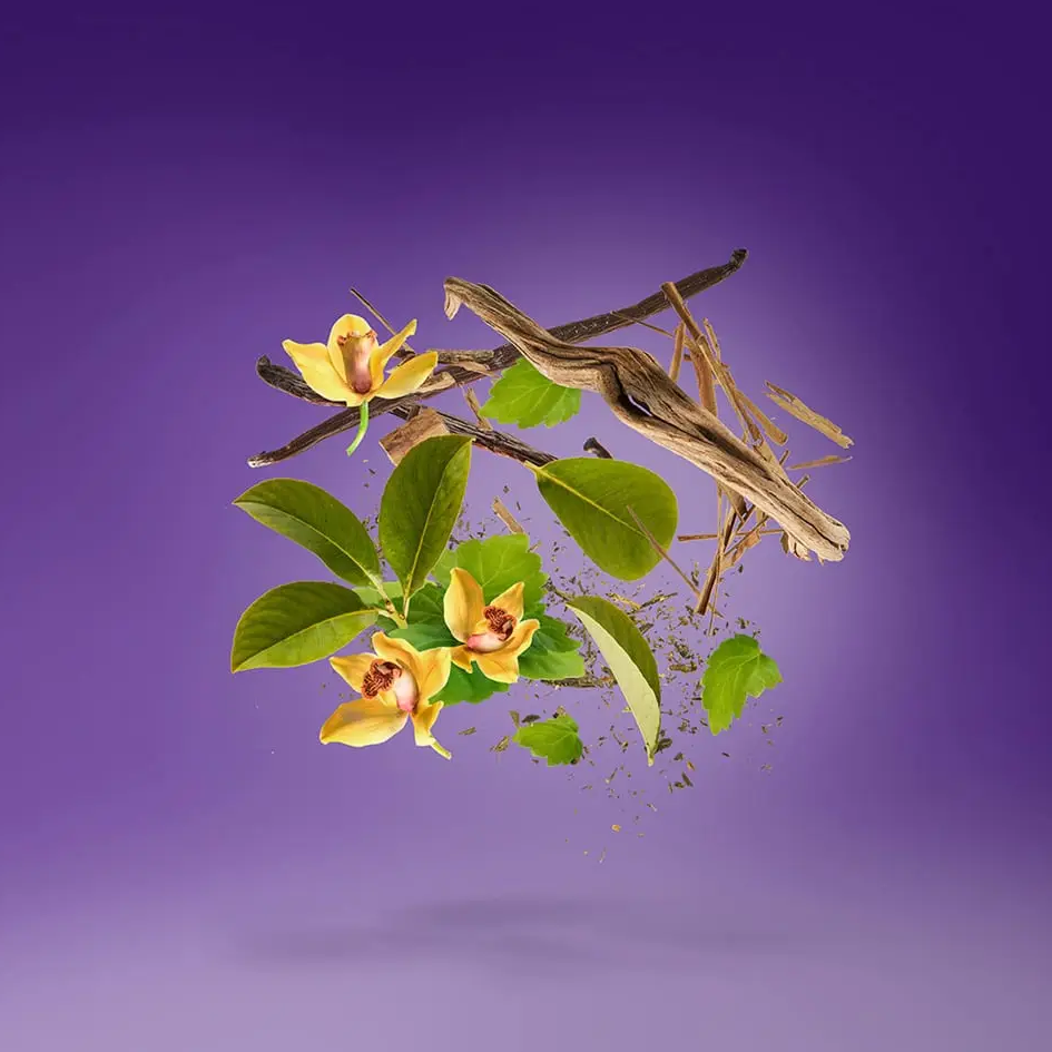 Xerjoff Layati Parfum