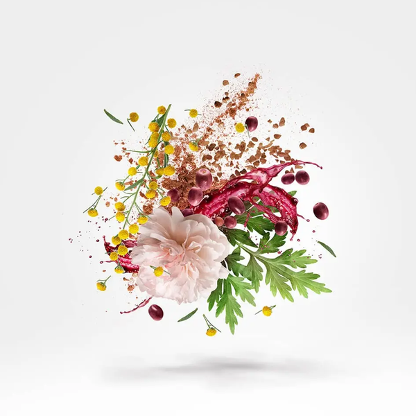 Xerjoff Zefiro Parfum