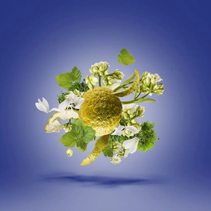 Xerjoff Torino 23 Parfum