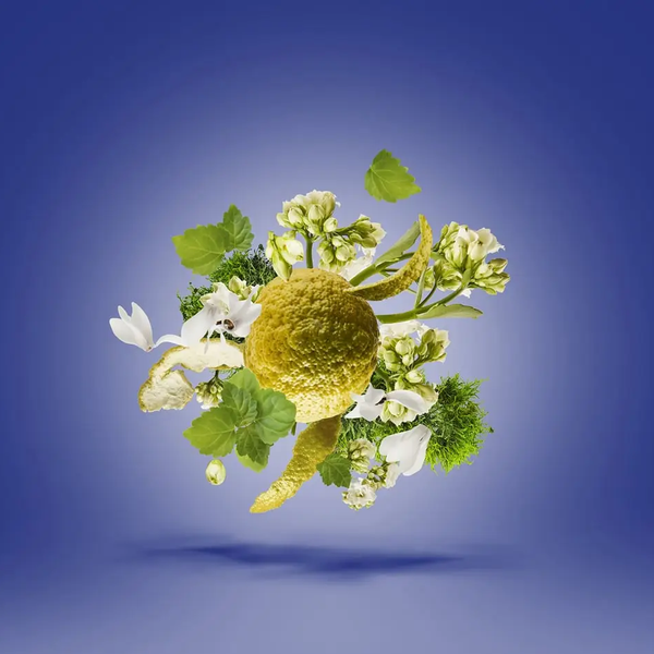 Xerjoff Torino 23 Parfum