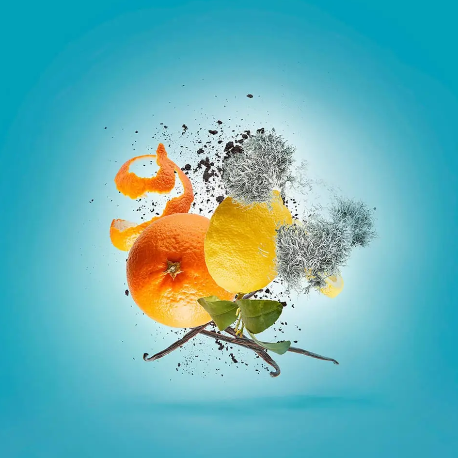 Xerjoff Erba Pura Parfum