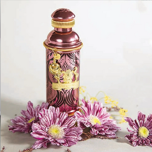 Alexandre J Morning Muscs