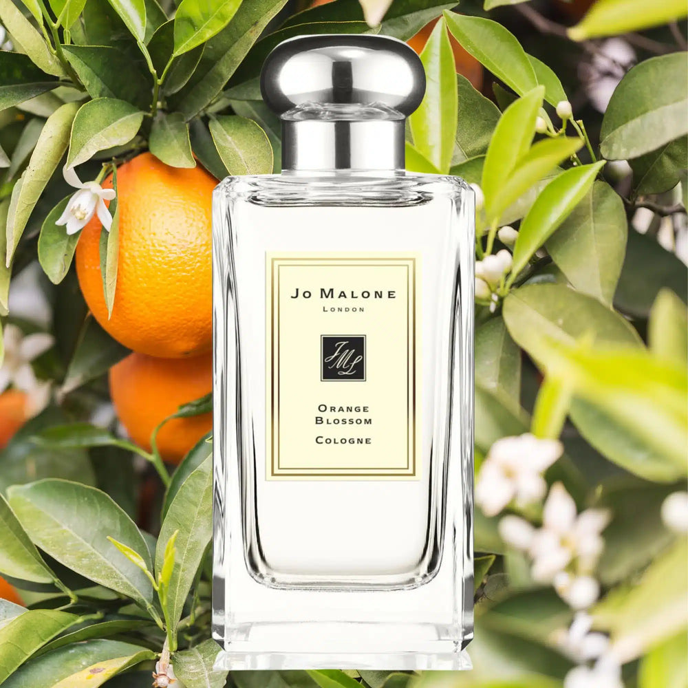 Cologne Orange Blossom