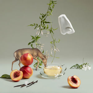 Artemisia Eau de Parfum