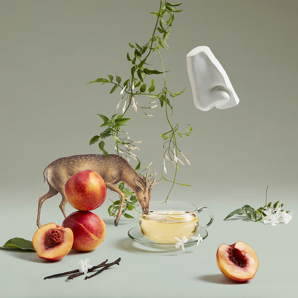 Artemisia Eau de Parfum