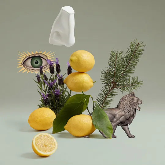 Blenheim Bouquet Eau de Toilette