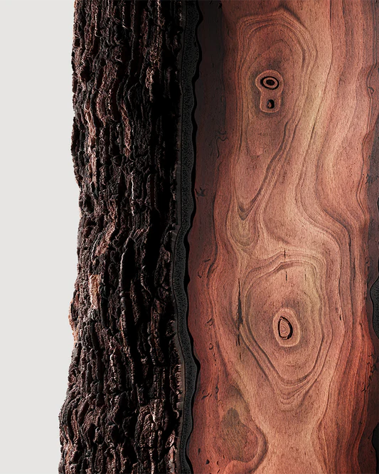 Bois d'Ebene Hand & Body Lotion