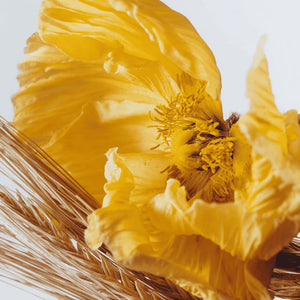 Cologne Poppy & Barley