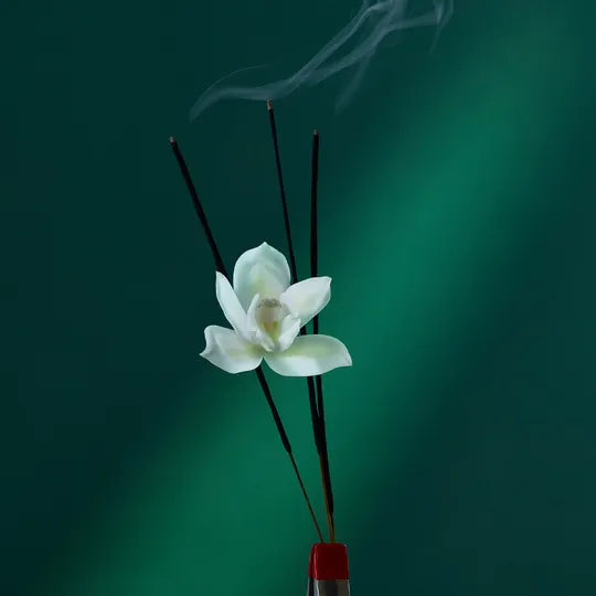 Eau The Audacity Eau de Parfum