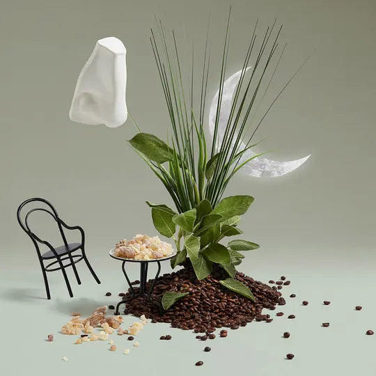 Endymion Concentre Eau de Parfum