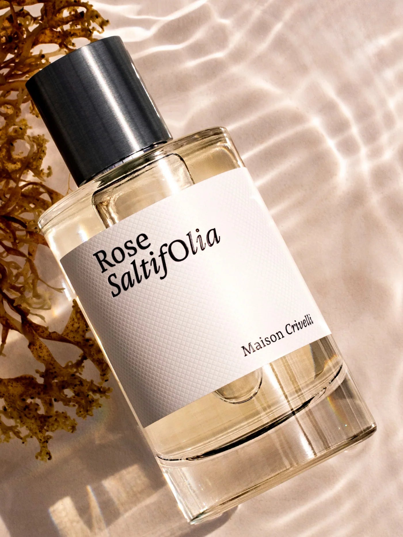 Rose Saltifolia Eau de Parfum