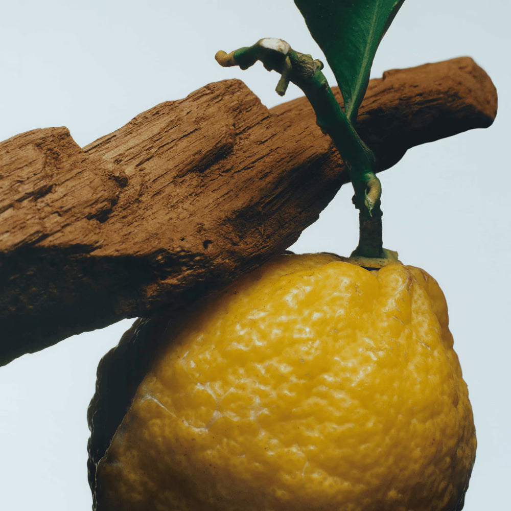 Oud & Bergamot Cologne Intense