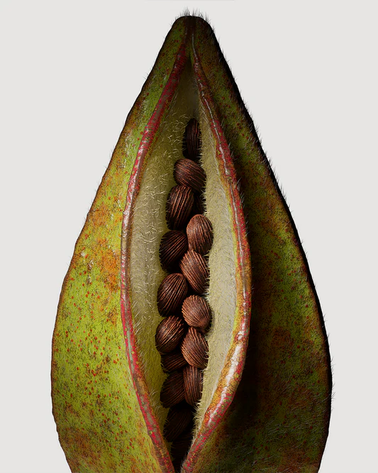 Parisian Musc Hand & Body Lotion