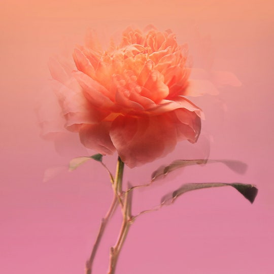 Impadia Eau de Parfum