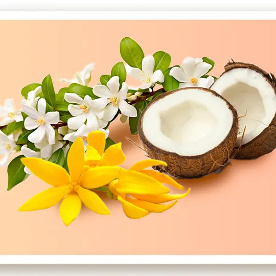 Jasmilk Extrait de Parfum