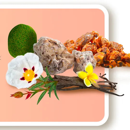 Jasmilk Extrait de Parfum