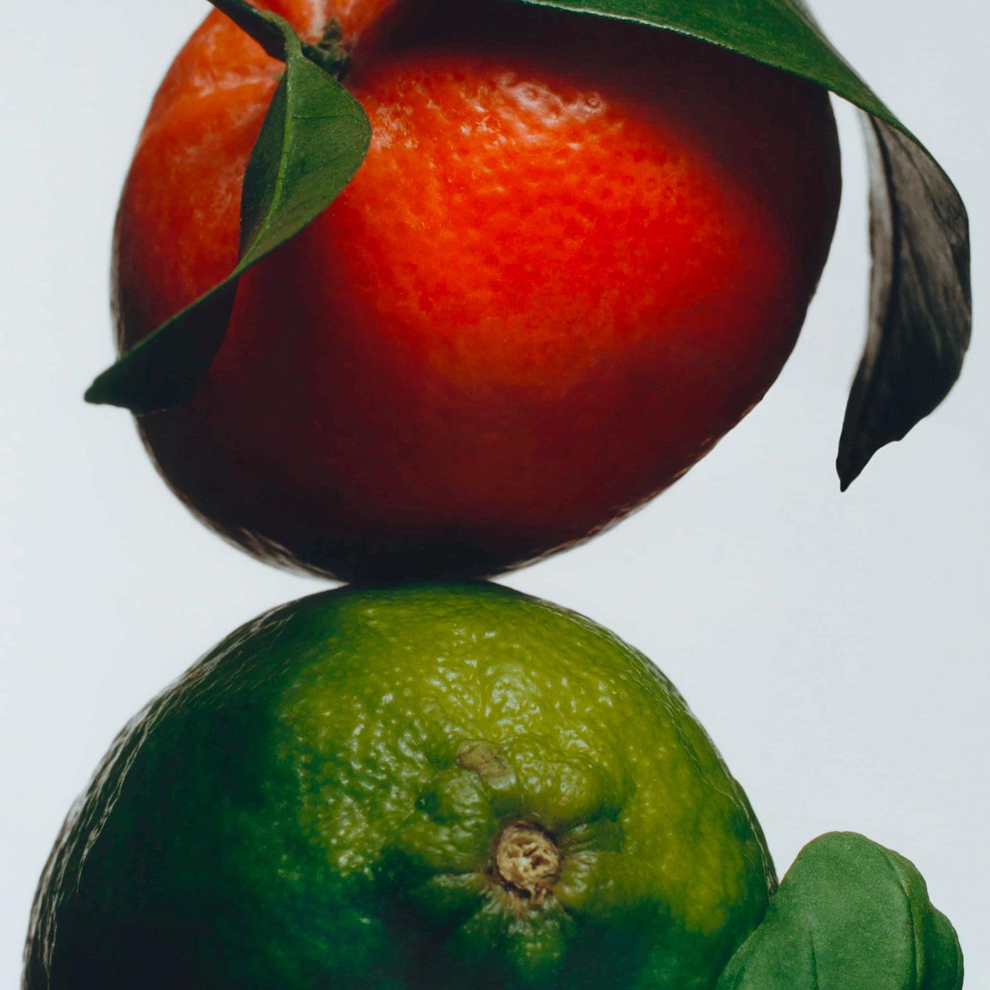 Lime Basil & Mandarin Candela profumata