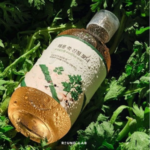 ROUND LAB Soothing Mugwort Toner 300ml Madecassoside Water-Type Toner
