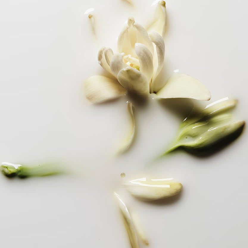 Good Girl Gone Bad Body Lotion